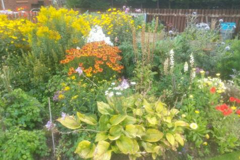 Garden in Summer