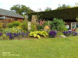 Garden in Summer