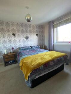 PHOTO-2024-10-23-16-24-15 3