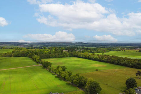 View Of The Surroundings