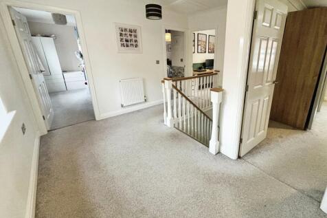 7b8afd42-IMG_4803