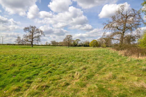 ParkFarm-54