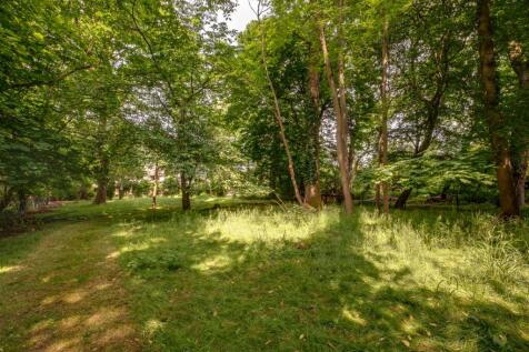 Woods at Rear of Garden