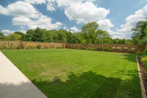 Beautiful Southerly Facing Rear Garden