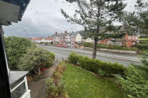 The Brow IMG_8935.jpg