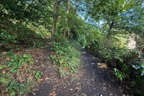 Handy dog walks directly opposite