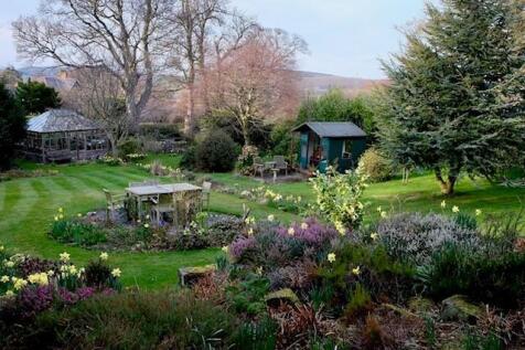 garden.jpg