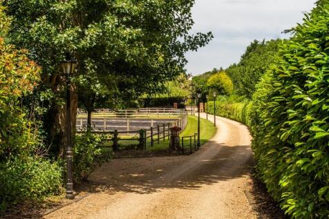 Property Image 36