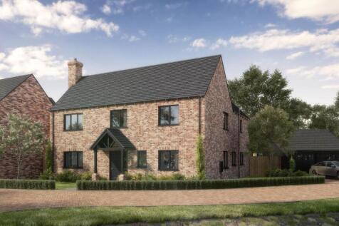 Scene-6 New Road-Plot-02_00000.jpg