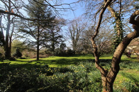 Property Image 26