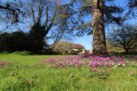 Property Image 33