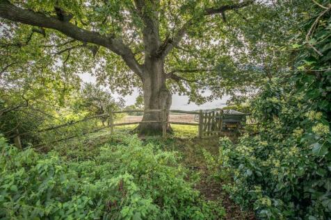 Upper Clayhill Cottage27.jpg