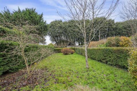 Photo 11-12-2025, 12 20 10.JPG