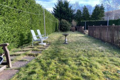 image00007.jpeg