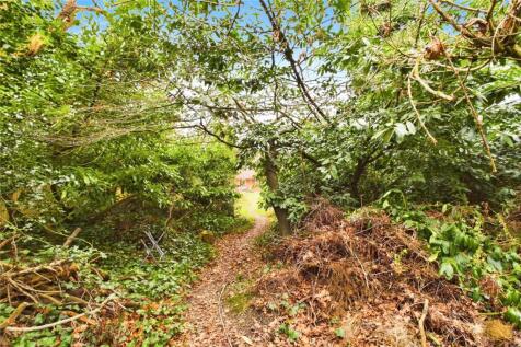 Wooded Area