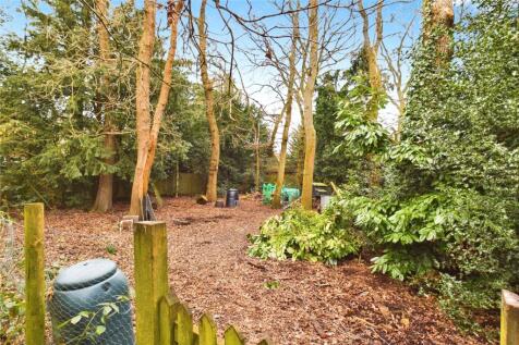 Wooded Area
