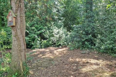 ENTRANCE TO WOODED AREA.jpg