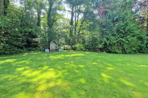 LARGE SIDE GARDEN.jpg