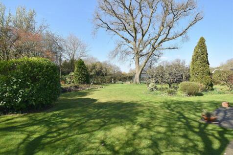 Garden3.JPG