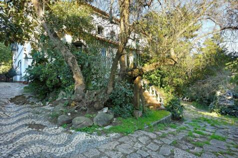 Property Image 54