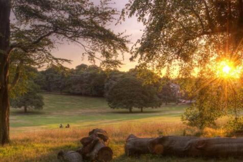 Warley Woods