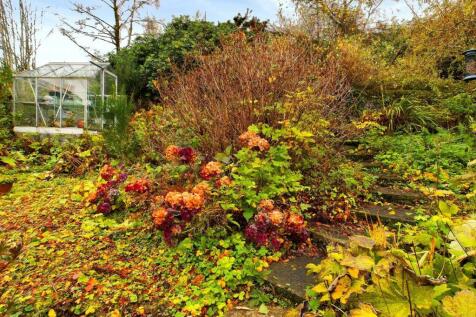 Property Image 31