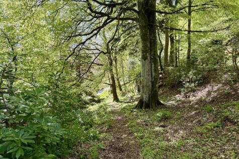 Property Image 39