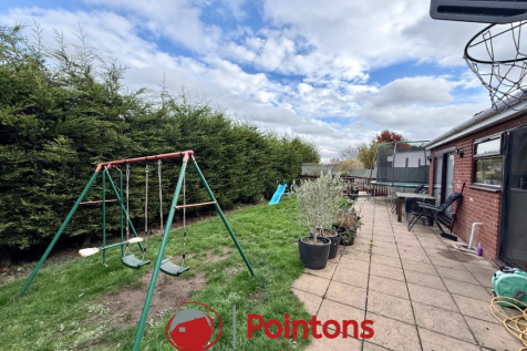 Logo image  (38).png