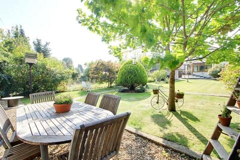 Garden 3.jpg