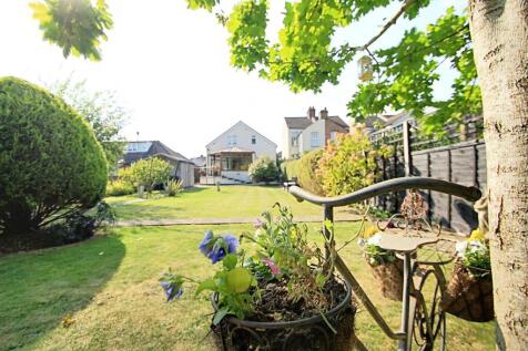 Garden 4.jpg