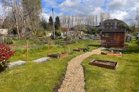 View of allotments.
