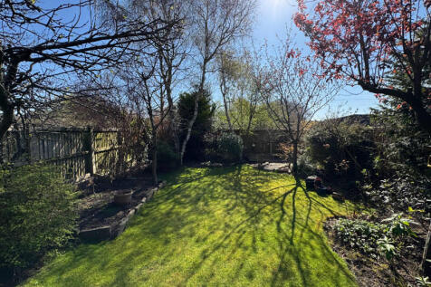 Rear of Property