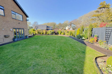 Rear of Property