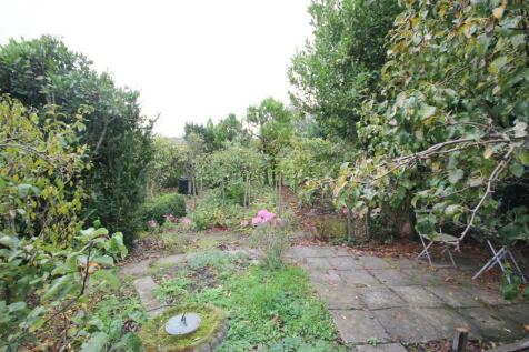 garden1.jpg