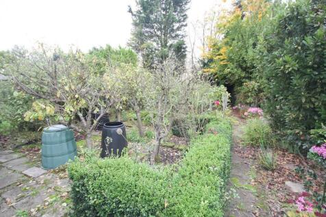 garden2.jpg