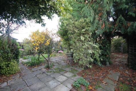 garden5.jpg