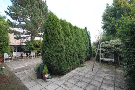 garden4.jpg