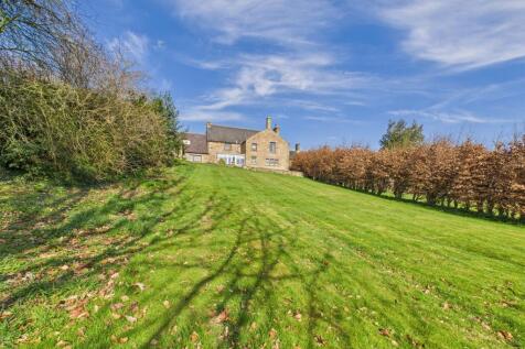 CAM04201G0-PR0062-STILL009