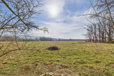 CAM04201G0-PR0062-STILL018