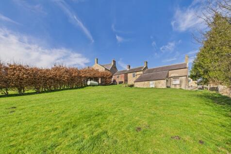 CAM04201G0-PR0062-STILL020