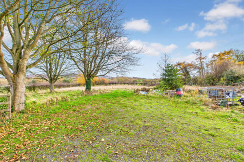 CAM04201G0-PR0117-STILL011