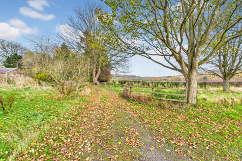 CAM04201G0-PR0117-STILL012