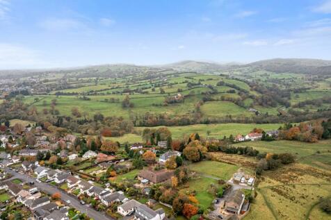 DJI_0131.jpg