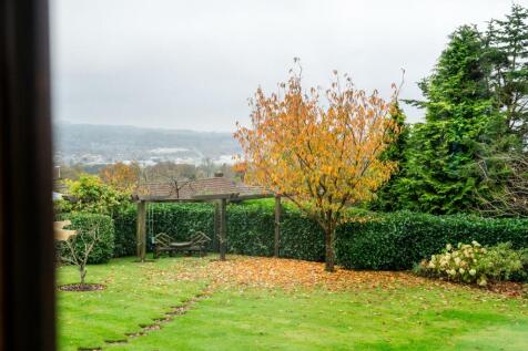 DSC_5338.jpg