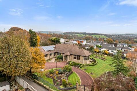 DJI_0124.jpg