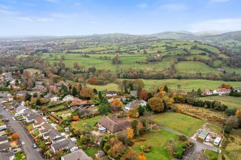 DJI_0130.jpg