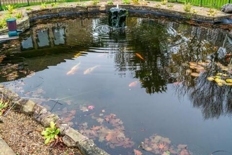 DSC_5587.jpg