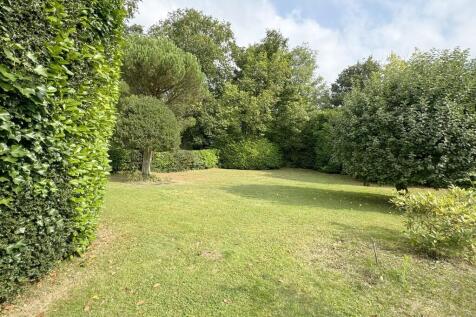 rear garden 4
