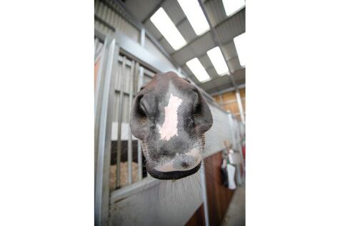 Ballaclucas Farm, Top Road, Crosby (63).jpg