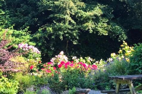 Garden 4-2.jpg